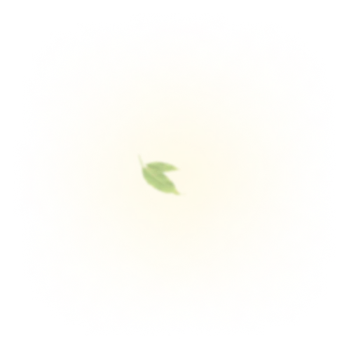 shape